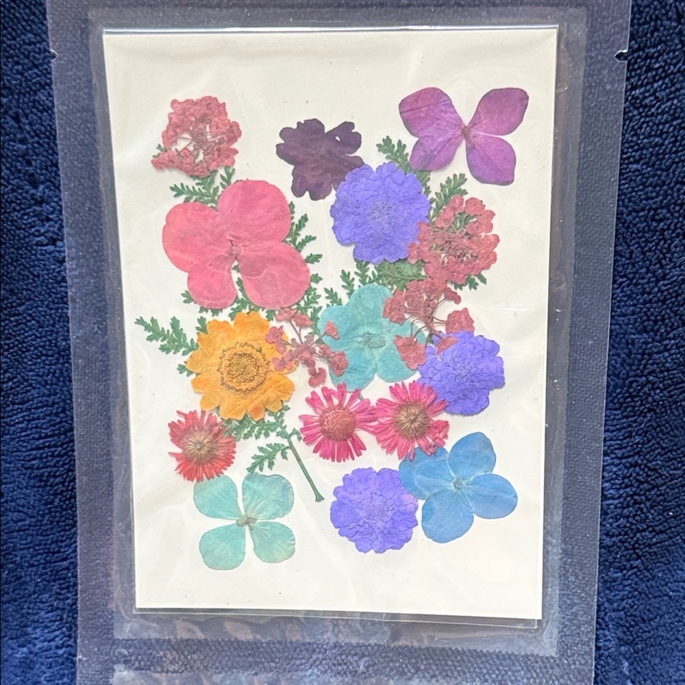 Pressed Floral Art Card - Colorful Mixed Flowers - Picture 1 of 1